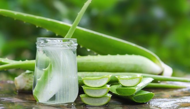aloevera