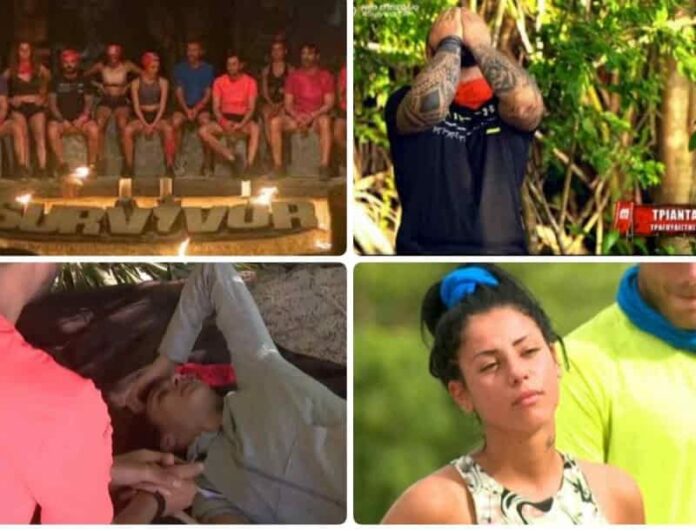 Survivor 4