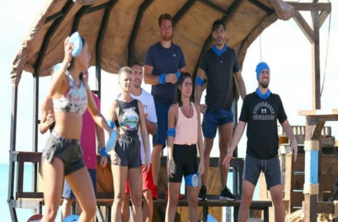 Survivor4