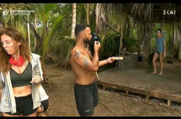 SURVIVOR 4