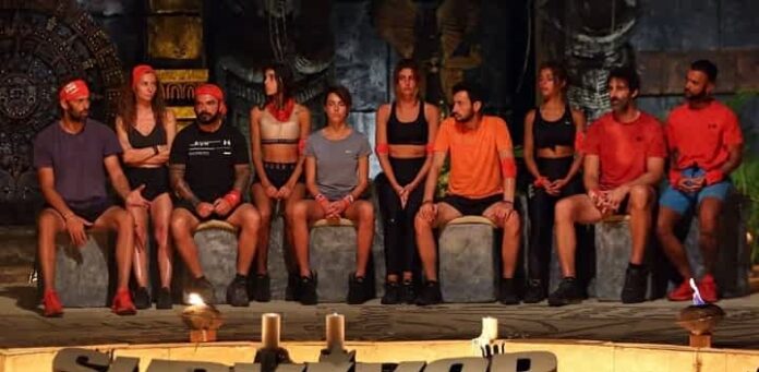 Survivor 4