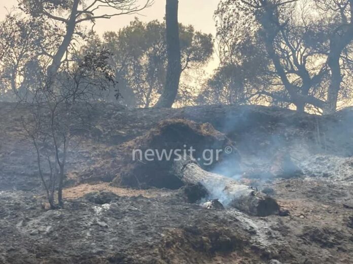Βαρυμπόμπη