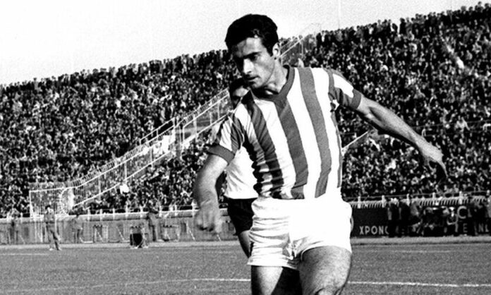 vasilis-botinos