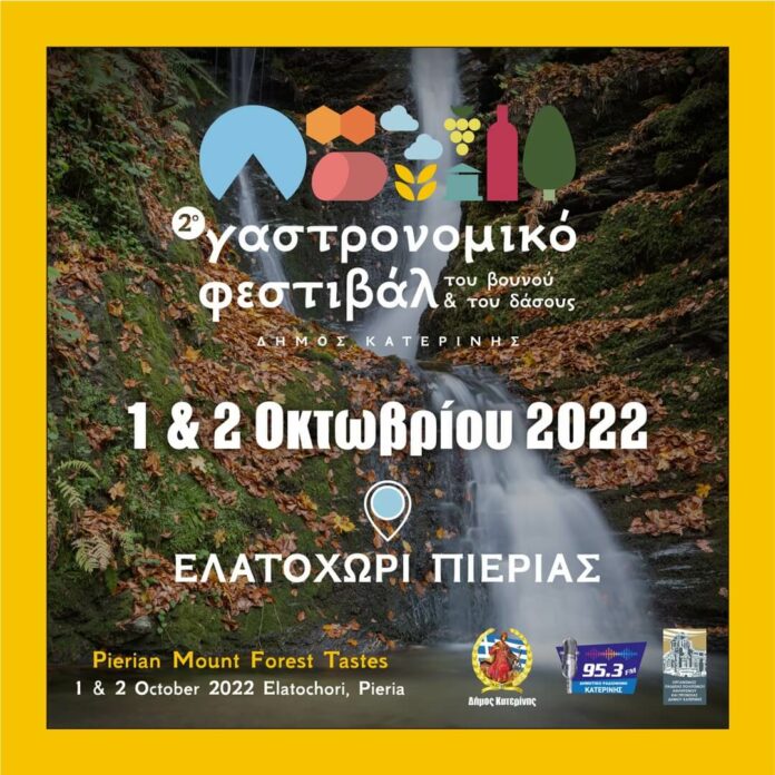 Κατερίνη1