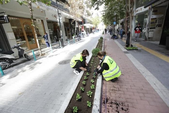 Λουλούδια