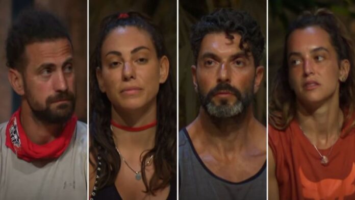 survivor