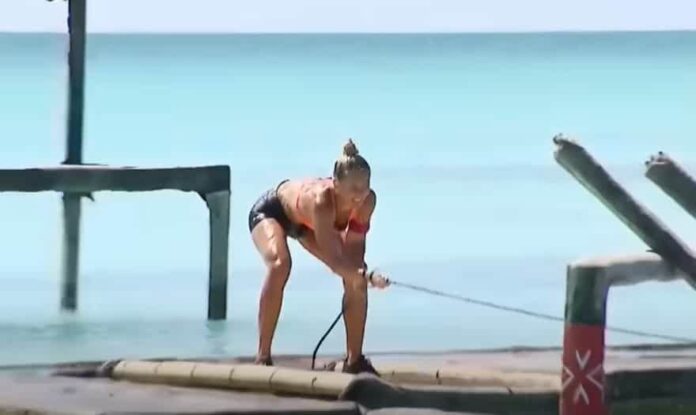 Survivor
