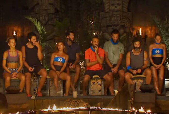 Survivor