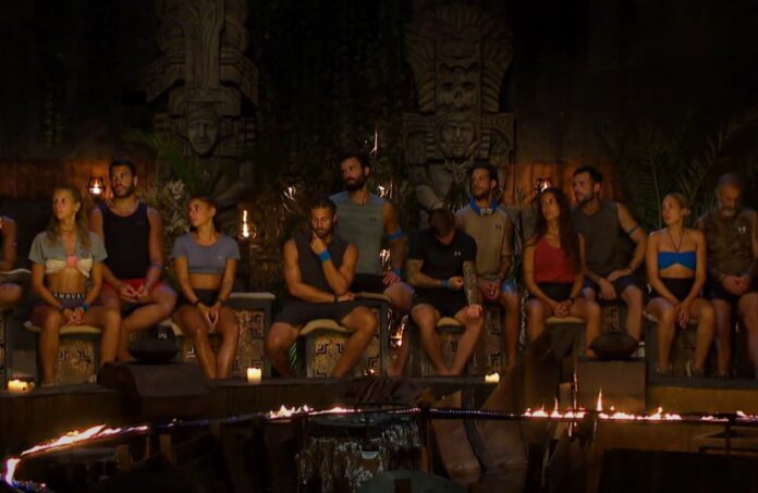Survivor
