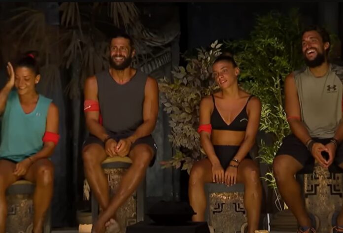 Survivor