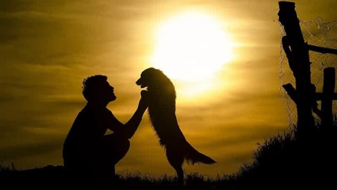 Dog-Man