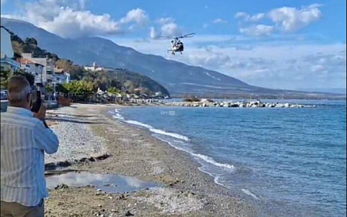 PLATAMONAS