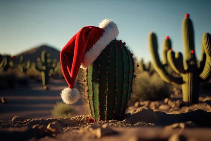 Xmas