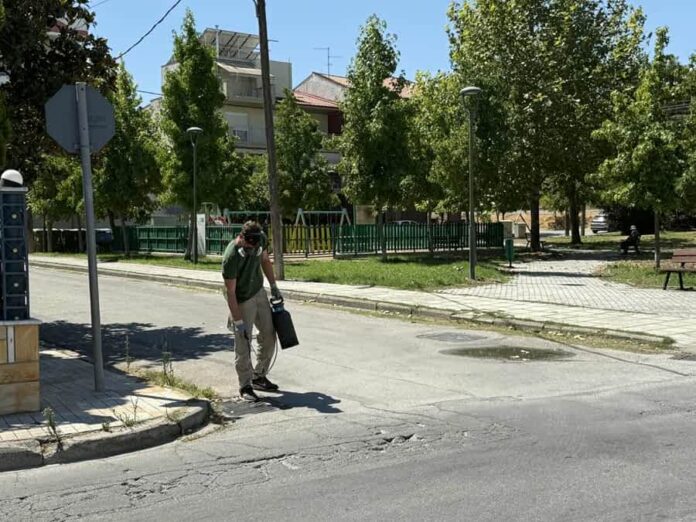 koumoupia