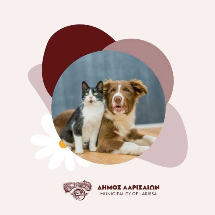 Katafygio-adespoton-Dimos-Larissaion