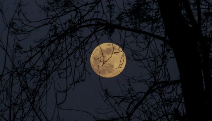 Moon