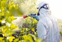 Φυτοφάρμακα και καρκίνος: Έως και 150% αυξημένος κίνδυνος δείχνει νέα μελέτη