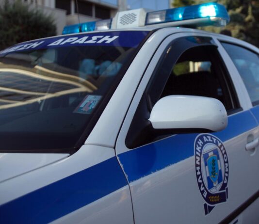 Σύλληψη ανηλίκων για κλοπή στα Φάρσαλα