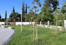Έργο 1.3 εκατ. στη Λάρισα στο Παλαιό Κοιμητήριο Έργο 1.3 εκατ. στη Λάρισα στο Παλαιό Κοιμητήριο