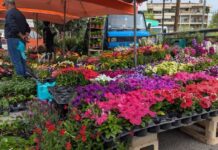 Λάρισα: Αλλαγές στις λαϊκές για την 28η Οκτωβρίου Λάρισα: Αλλαγές στις λαϊκές για την 28η Οκτωβρίου